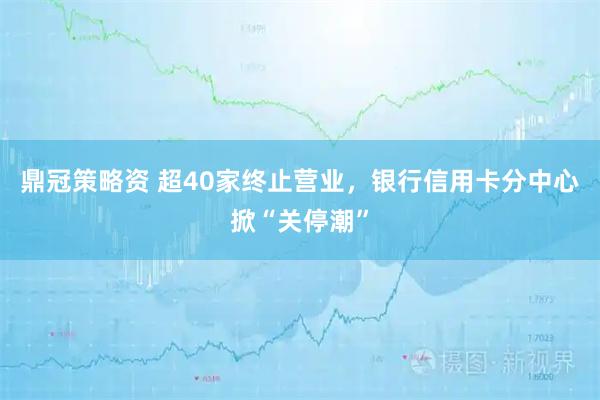 鼎冠策略资 超40家终止营业，银行信用卡分中心掀“关停潮”