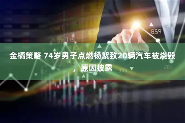金橘策略 74岁男子点燃杨絮致20辆汽车被烧毁,原因披露