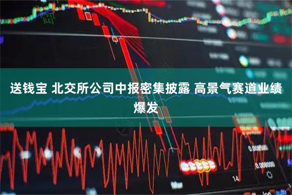 送钱宝 北交所公司中报密集披露 高景气赛道业绩爆发